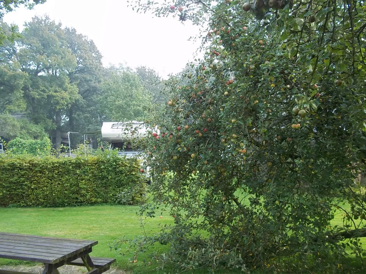 B&B Slaoperij Orvelte Exterior foto