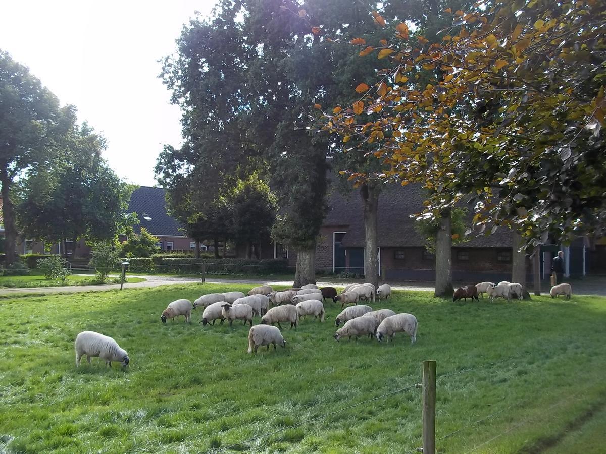B&B Slaoperij Orvelte Exterior foto